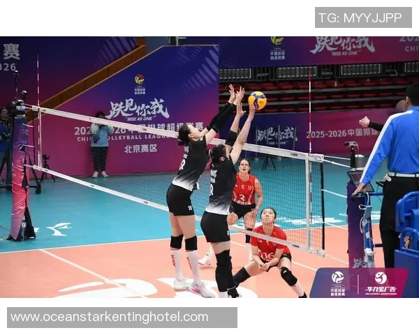 新赛季排超路程发布 京津女排打响联赛揭幕战