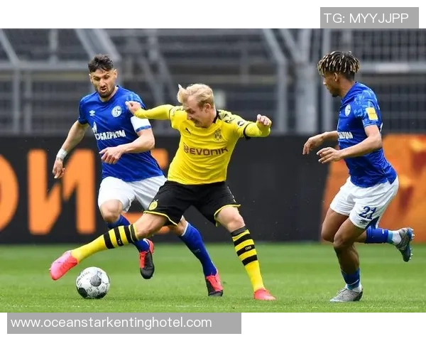 欧冠:多特蒙德2-2博德闪烁,布兰特双响,阿里萨米、海于格建功